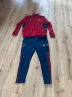 Adidas Ajax Trainingspak Maat L - Zo goed als nieuw, Maat 42/44 (L), Ophalen of Verzenden, Rood, Fitness of Aerobics