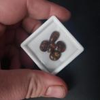 Prachtige hand geslepen vuur agaat cabochons, Ophalen of Verzenden, Nieuw