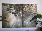 IKEA Canvas Bos met Lichtstralen - 200x140 cm, Gebruikt, 125 cm of meer, Ophalen of Verzenden, Print