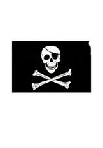 Vlag Piraat (Jolly Rogers), hobby, mancave, biker,, Ophalen of Verzenden