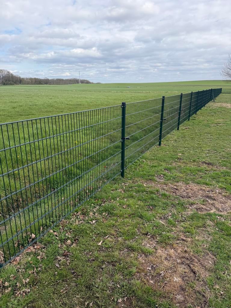 450 meter dubbel staafmat hekwerk groen 250 cm B 123 cm hoog, Ophalen, Nieuw, IJzer, Dubbelstaafmat hekwerk