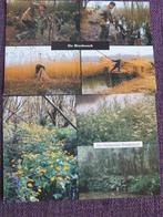 Set vintage ansichtkaarten de biesbosch  ongelopen, Ophalen of Verzenden, Ongelopen, Zuid-Holland