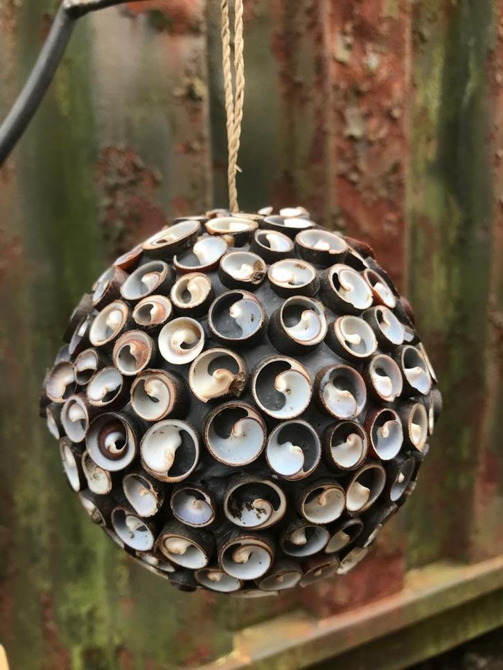 Schelpenbol decoratief uit Java indonesie schelp, Huis en Inrichting, Woonaccessoires | Overige, Nieuw, Ophalen of Verzenden