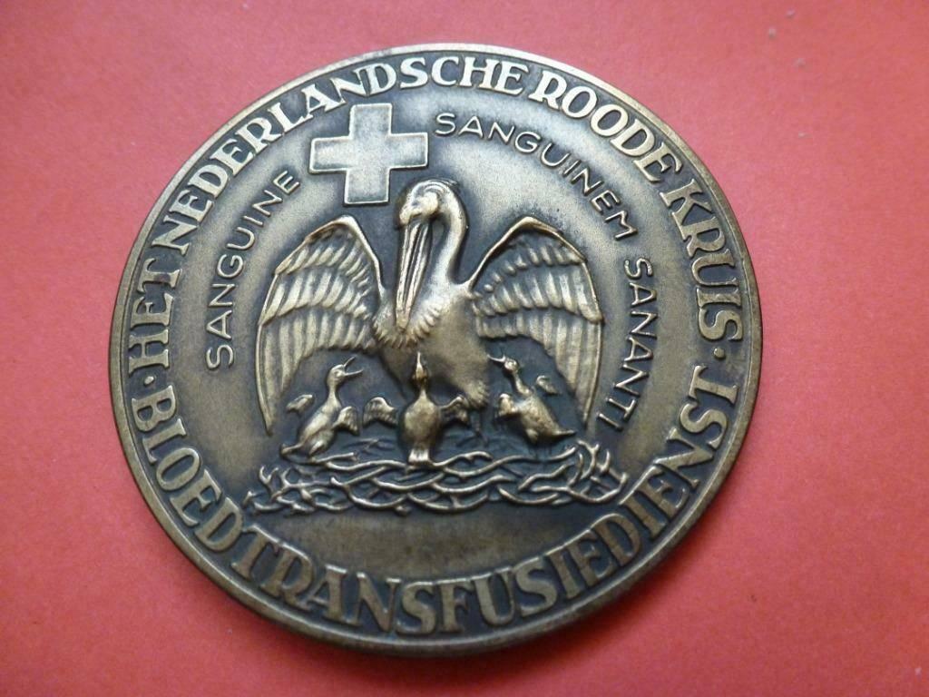 Bronzen penning prof. Dr. Karl Landsteiner Roode Rode Kruis, Postzegels en Munten, Ophalen of Verzenden, Brons, Nederland