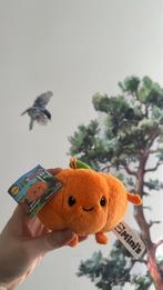 Lidl Mini's Pien Pompoen knuffel, Ophalen of Verzenden, Nieuw, Overige typen