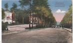 oosterbeek- utrechtscheweg, Ophalen of Verzenden, Voor 1920, Gelderland