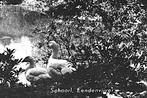 900222	Schoorl	1967 Eendenvijver	. Postzegel gedeeltelijk ve, Verzamelen, Ansichtkaarten | Nederland, Ophalen of Verzenden, 1960 tot 1980