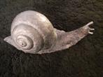 Brons - Snail Sculptuur, Antiek en Kunst, Antiek | Koper en Brons, Ophalen of Verzenden, Brons