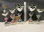 Trofeeën/wedstrijdbekers/sportprijzen/bokalen (set 31), Sport en Fitness, Ophalen of Verzenden, Gebruikt
