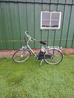 Gazelle easyglider ebike, Ophalen, Gebruikt, 55 tot 59 cm, Gazelle