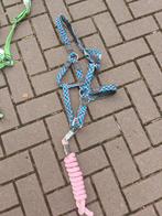 Multicolor halster full, Dieren en Toebehoren, Paarden en Pony's | Hoofdstellen en Tuigage, Ophalen of Verzenden, Gebruikt, Overige soorten