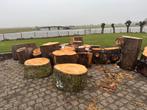 Boomstammen te koop - klein, middel, groot, Minder dan 3 m³, Ophalen of Verzenden, Overige houtsoorten, Stammen