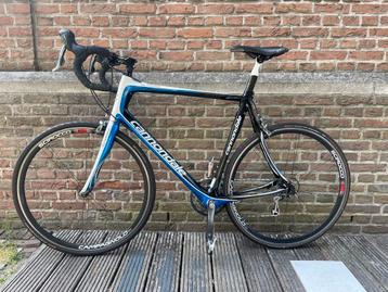 Cannondale Synapse full carbon( Ultegra) beschikbaar voor biedingen