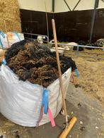 Gratis schapenwol, Dieren en Toebehoren