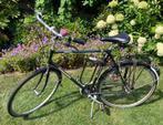 Nette Gazelle Avignon H61, Ophalen, Gebruikt, Versnellingen, 61 tot 65 cm