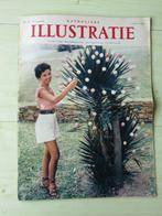 Oud tijdschrift Katholieke Illustratie (1963), Ophalen, Gelezen, Overige typen