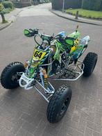 WSP met 450 Kawasaki injectie 4takt wedstrijd quad, 1 cilinder