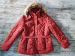 Winterjas, Kleding | Dames, Jassen | Winter, Verzenden, Nieuw, Maat 46/48 (XL) of groter, Oranje