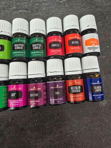 Young living oliën  beschikbaar voor biedingen