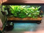 Compleet aquarium 60x30x30, Dieren en Toebehoren, Vissen | Aquaria en Toebehoren, Ophalen, Gebruikt, Gevuld zoetwateraquarium