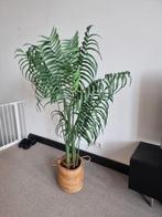 Kunstplant, Huis en Inrichting, Woonaccessoires | Kunstplanten en Kunstbloemen, Ophalen, Zo goed als nieuw