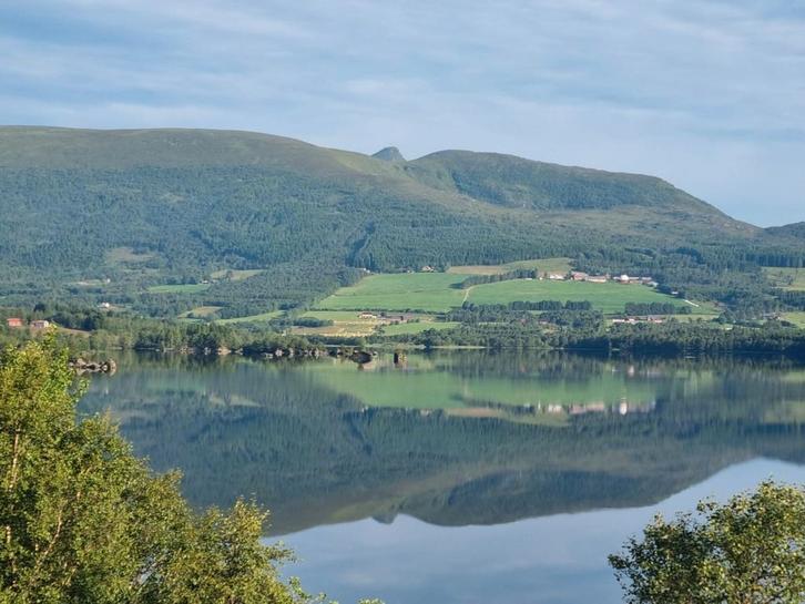 Huis te huur gevraagd 3 tot 6 mnd., Huizen en Kamers, Op zoek naar een huis