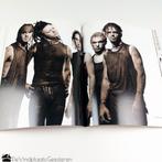 Albert Watson – Mad Dog, Ophalen of Verzenden, Zo goed als nieuw, Fotografen