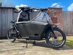 ::1000Wh:: Urban Arrow Family Cargo Line Automaat Bakfiets, Overige merken, 2 zitjes, Nieuw, Ophalen of Verzenden