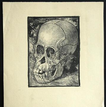 Mooie gave litho apenschedel A. Wirtz. Anto Wirtz,  beschikbaar voor biedingen