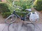Batavus Mambo, blauw, frame maat 57, 57 tot 61 cm, Ophalen, Gebruikt, Batavus