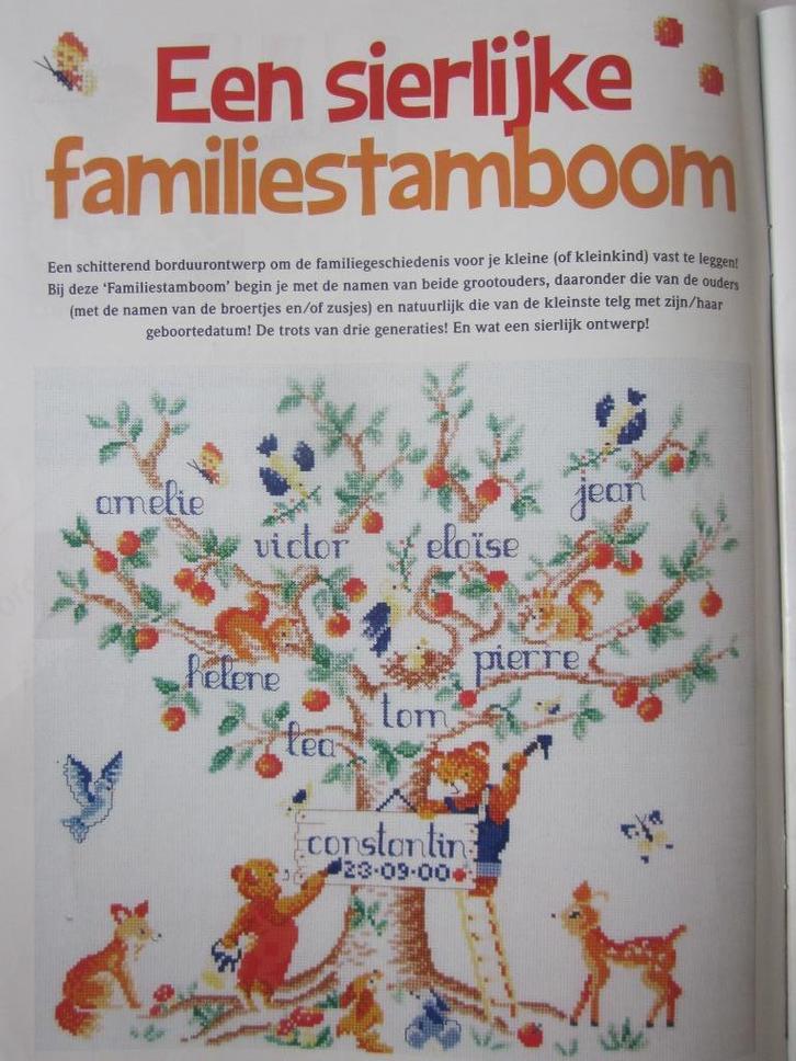 Borduur telpatroon "een sierlijke familiestamboom"  geboorte, Hobby en Vrije tijd, Borduren en Borduurmachines, Nieuw, Patroon