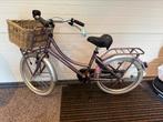 Alpina cargo meisjes tranporter fiets 20 inch, Fietsen en Brommers, Fietsen | Meisjes, Ophalen of Verzenden, Zo goed als nieuw