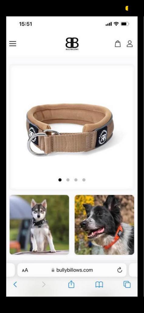 BullyBillows Military Tan collar - nieuw, Dieren en Toebehoren, Hondenhalsbanden en Penningen, Nieuw, Ophalen of Verzenden