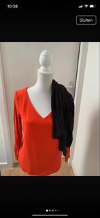 Steps shirt maat M, Ophalen of Verzenden, Zo goed als nieuw