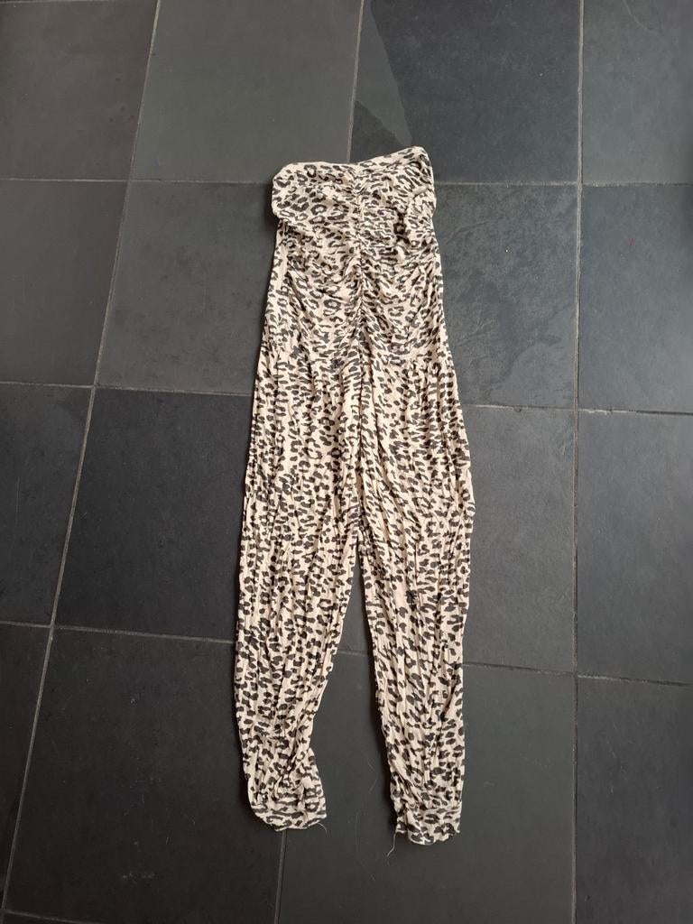 Tijger Jumpsuit Carnaval, Onbekend, Ophalen of Verzenden, Zo goed als nieuw, Maat 38/40 (M)