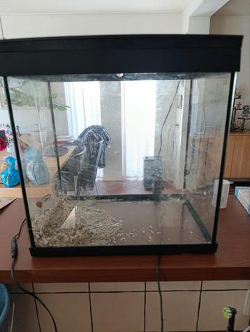 Aquarium met deksel, 36 x 23 x 37,4 cm – 27 liter

 beschikbaar voor biedingen