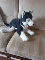 KNUFFEL HOND HUSKY, Ophalen of Verzenden, Zo goed als nieuw, Hond