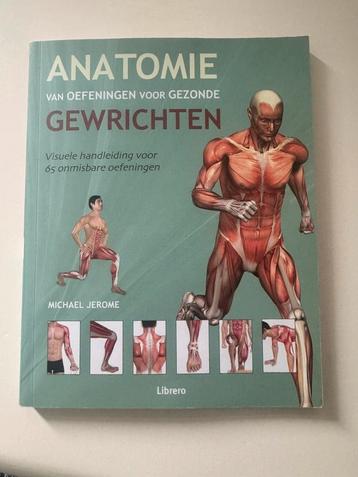 Anatomie van oefeningen voor gezonde gewrichten beschikbaar voor biedingen