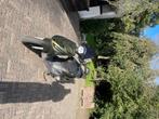 Zip sp, Fietsen en Brommers, Scooters | Piaggio, Ophalen, Gebruikt, Maximaal 45 km/u, Zip
