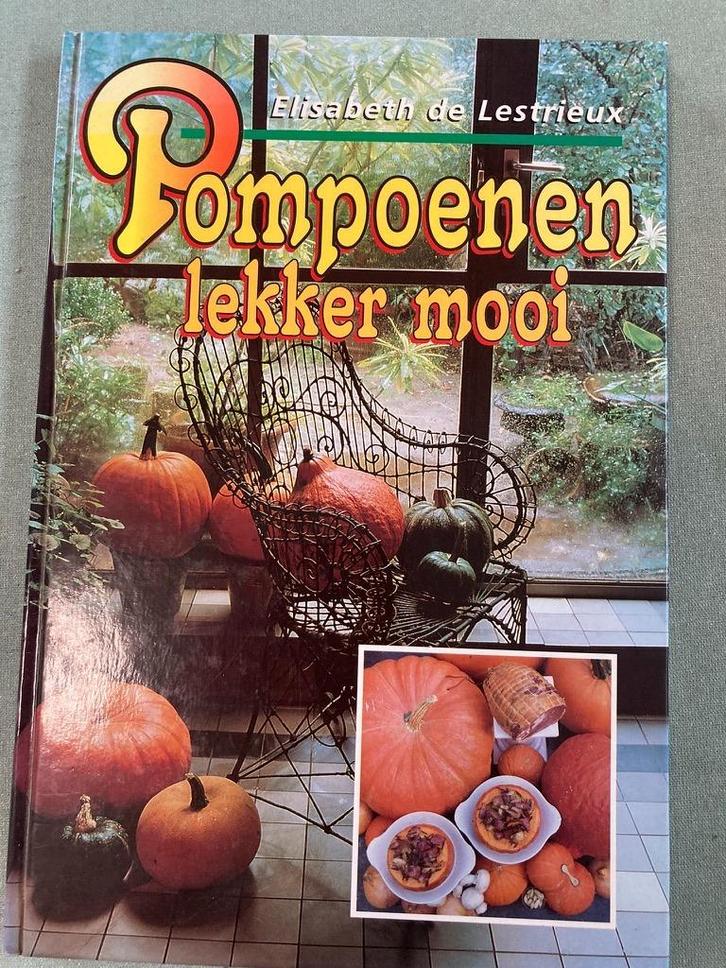 een kleurrijk boekje, pompoenen lekker  en mooi, Boeken, Kookboeken, Zo goed als nieuw, Ophalen of Verzenden