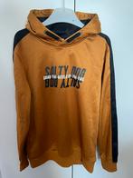 Bruin/goud kleurige trui 158/164, Ophalen of Verzenden, Zo goed als nieuw, Jongen, Trui of Vest