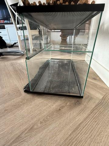 Terrarium, hamsterhok beschikbaar voor biedingen
