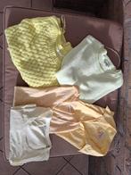 Kledingpakket 2 zomertruien, shirts en blouse, Kleding | Dames, Ophalen of Verzenden, Zo goed als nieuw, Maat 42/44 (L)