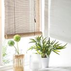 Bamboe rolgordijnen 90x180 en 120x180, Ophalen, 100 tot 150 cm, Bruin, Nieuw