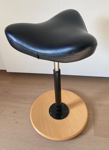 Hele Nette Varier Zadelkruk beschikbaar voor biedingen