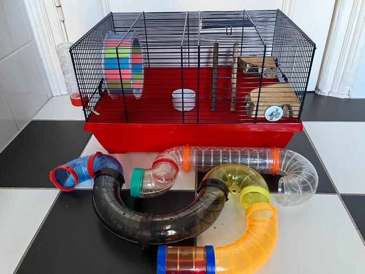 Mooie hamsterkooi kooi compleet  - Lees en zie alle foto’s, Dieren en Toebehoren, Knaagdieren en Konijnen | Hokken en Kooien, Zo goed als nieuw