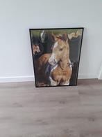 Leuke Paardenposter in lijst 60 bij 80 cm, Ophalen, Gebruikt, Wanddecoratie