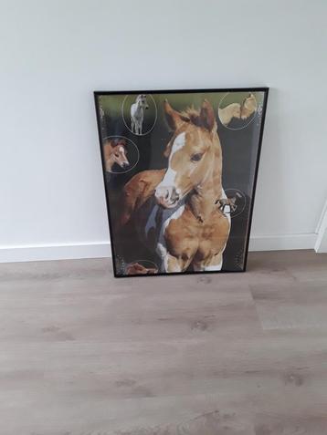 Leuke Paardenposter in lijst 60 bij 80 cm beschikbaar voor biedingen