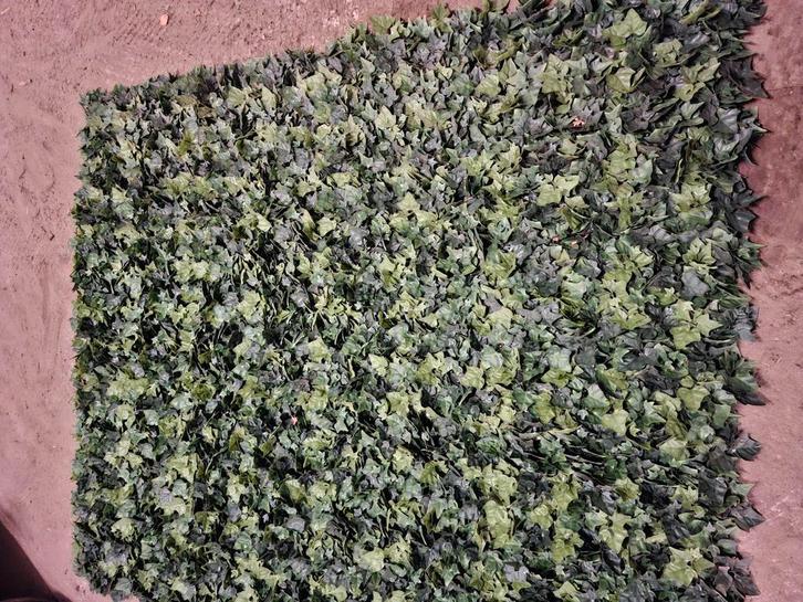 Hedera doeken voor poort of hekwerk, Tuin en Terras, Overige Tuin en Terras, Ophalen