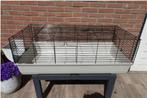 Mooie GROTE licht grijze kooi / zwarte tralies en hooiruif !, Kooi, 110 cm of meer, Cavia, Zo goed als nieuw